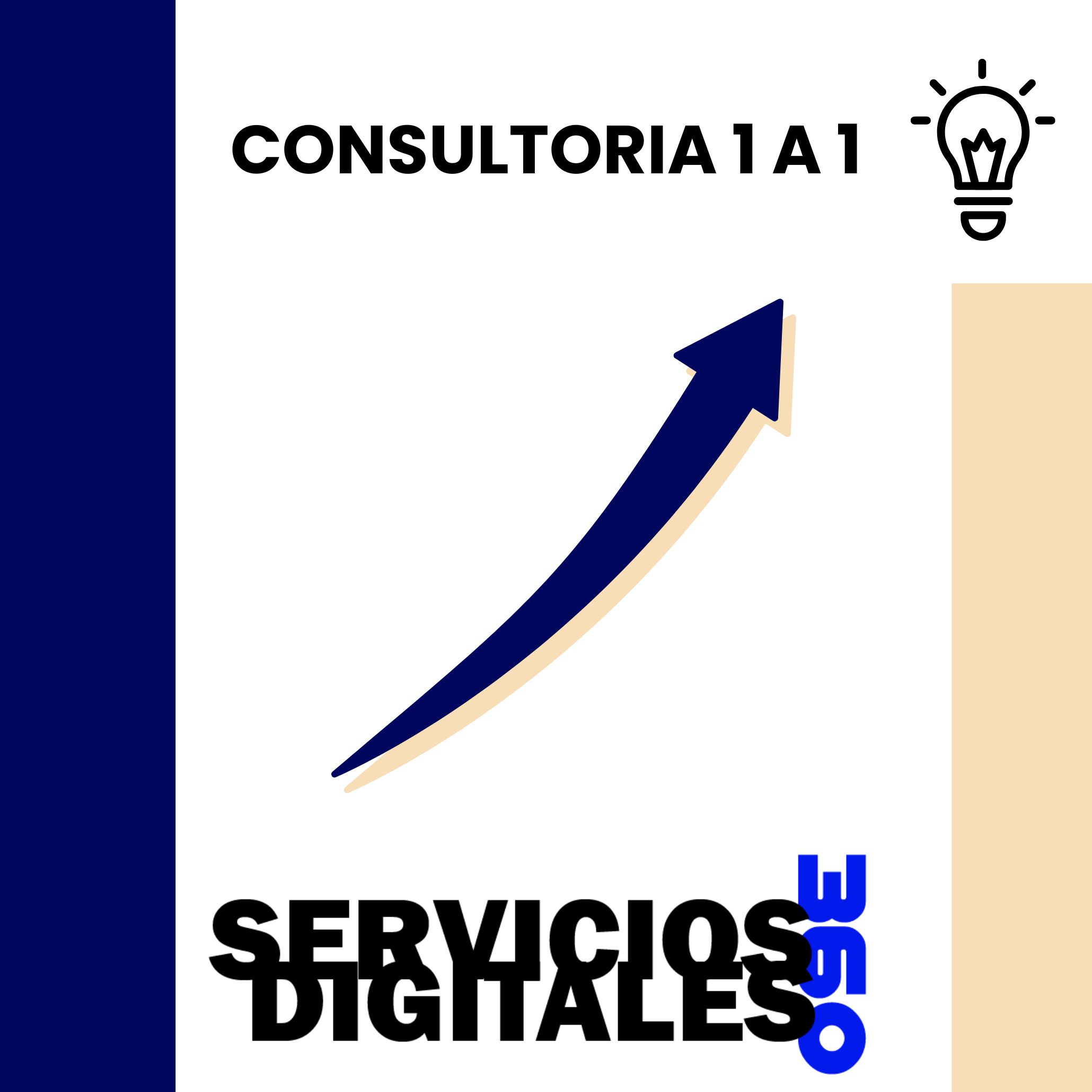CONSULTORIA 1 A 1 CON JOEL